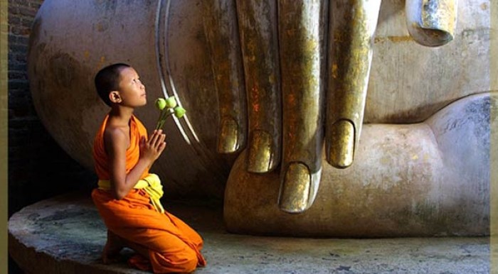 khi nao la luc thich hop de lam viec thien loi canh tinh cua lao thien su