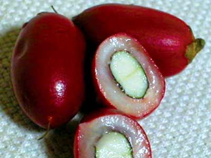 loai trai cay than ky bien chua dang thanh ngot ngao