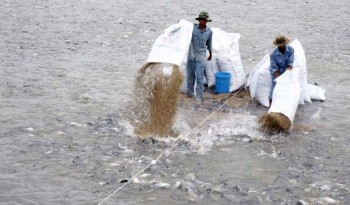 Thủy sản, hải sản:  Tươi nhưng không sạch