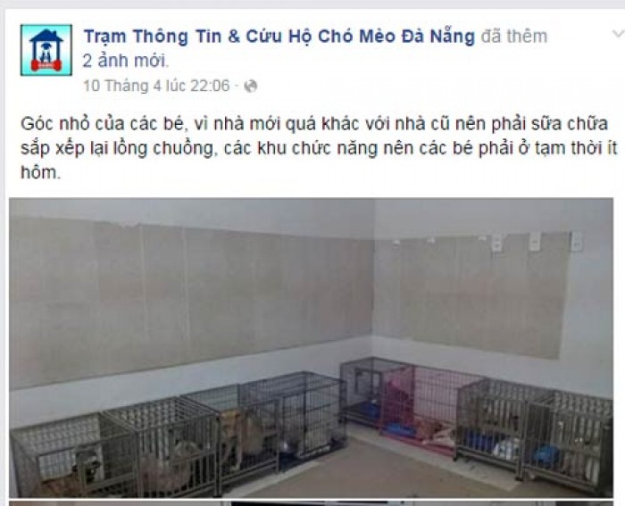 Nghi vấn cứu hộ chó mèo để bán vào lò mổ