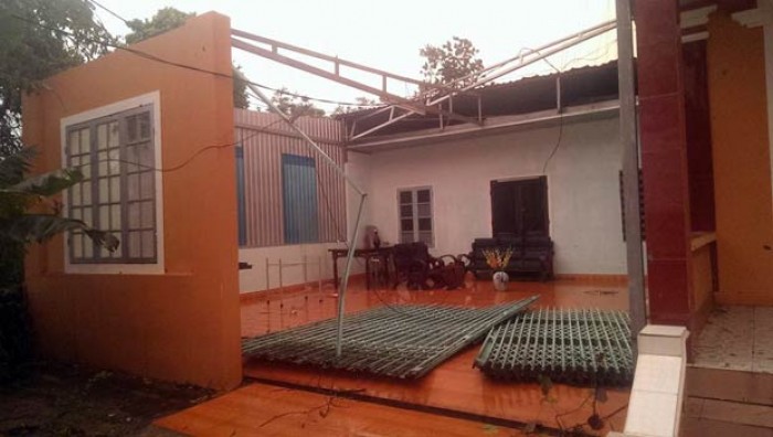 loc xoay kinh hoang lam hong 320 ngoi nha o hue