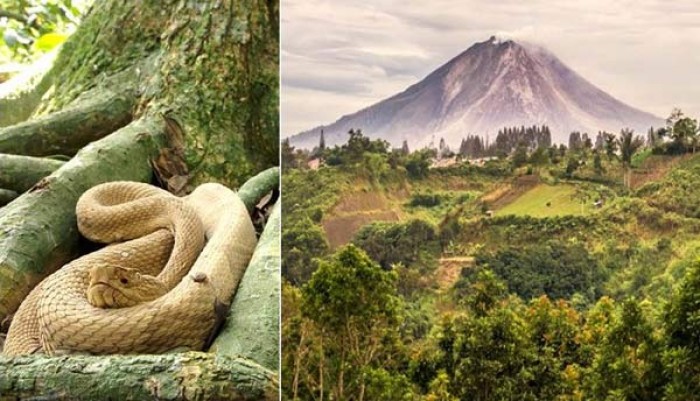 10 noi tuyet dep nhung an chua nhung dieu nguy hiem nhat the gioi