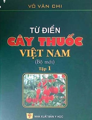 nhung chiec la du du nuoi hy vong