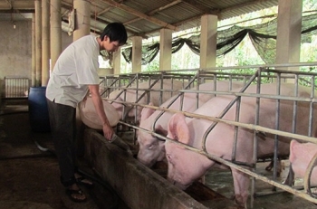 EU áp quy định mới về thực phẩm từ động vật