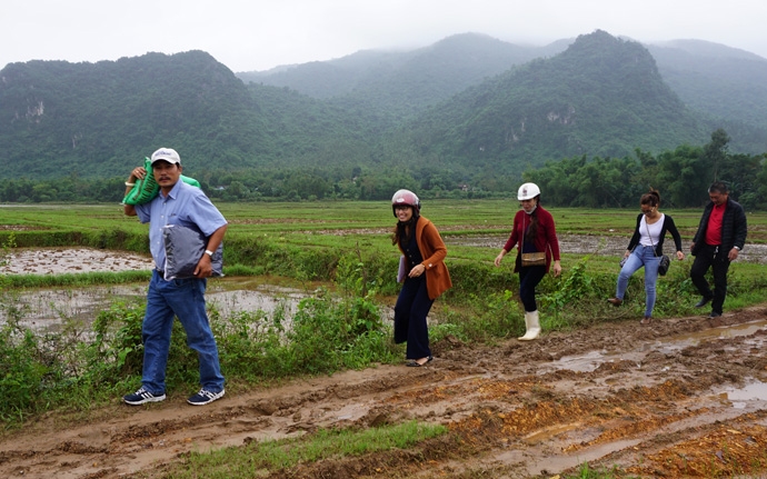 tu soi da moc len nhung mam xanh
