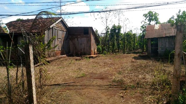 nong dan vo no vi vang den cau cuu nha nuoc