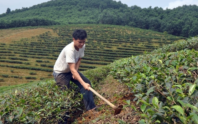 Sức trẻ mang lại màu xanh hy vọng