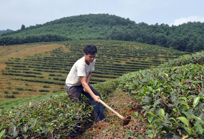 suc tre mang lai mau xanh hy vong