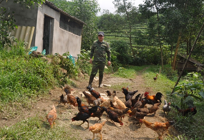 suc tre mang lai mau xanh hy vong
