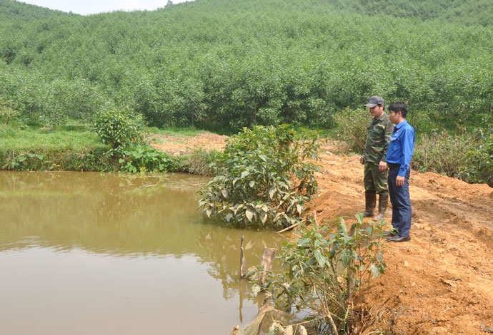 suc tre mang lai mau xanh hy vong