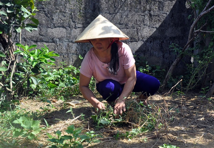 hanh phuc uom mam tren noi dau