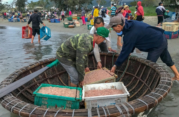 Hào phóng 