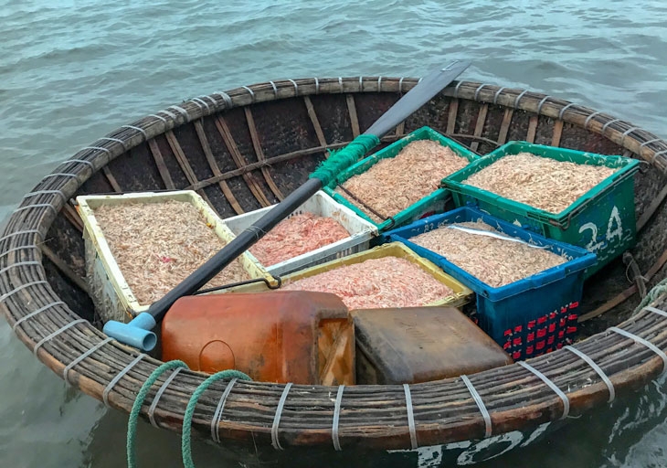 Hào phóng 