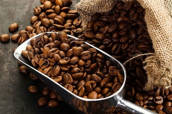Thị trường cà phê Arabica có khả năng sẽ tiếp tục đi ngang