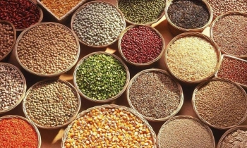 Giá nông sản ngày 29/4: Giá ngô tăng mạnh, lúa mì giảm
