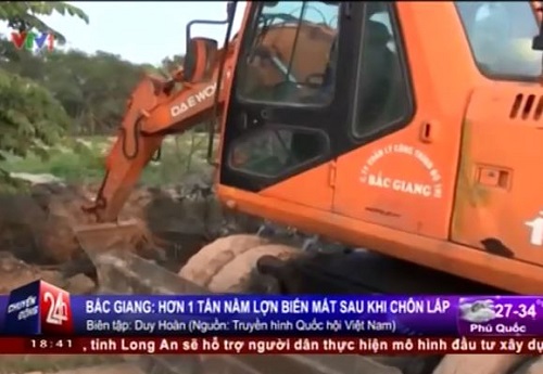 [VIDEO] Hơn 1 tấn nầm lợn 