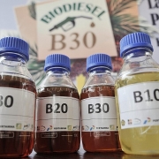 Indonesia xem xét tiếp tục triển khai chương trình diesel sinh học trong bối cảnh giá nhiên liệu giảm