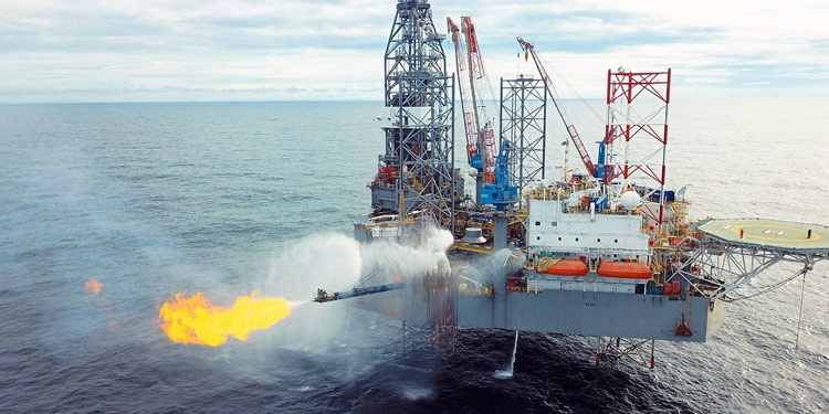 Vai trò đặc biệt của Petronas Vai trò đặc biệt của Petronas trong ngành công nghiệp dầu khí