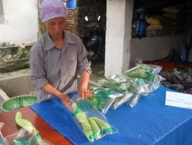 Loạn thị trường rau... hữu cơ!