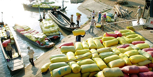 Quá nhiều việc phải làm