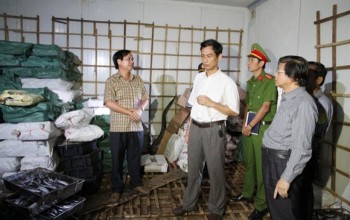 30 tấn cá nhiễm phenol: Từ cực độc đến vô hại!