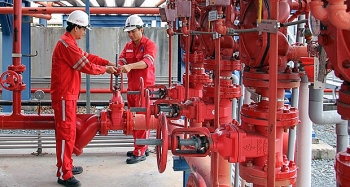 Khả năng sinh lời cao của cổ phiếu NT2