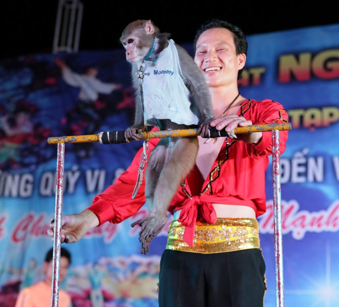 nen hay khong nen