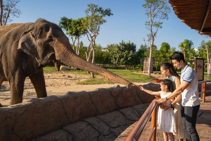 thang 6 thoi diem vang cua nhung chuyen du lich xuyen viet