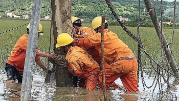 Chuyện nghề của tôi