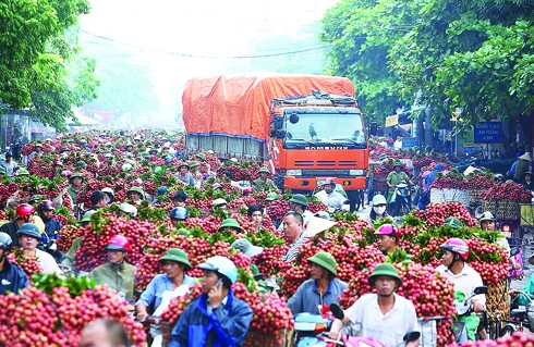 Cú hích cho hàng Việt