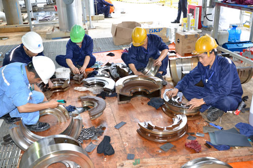Sức trẻ ở Đạm Cà Mau