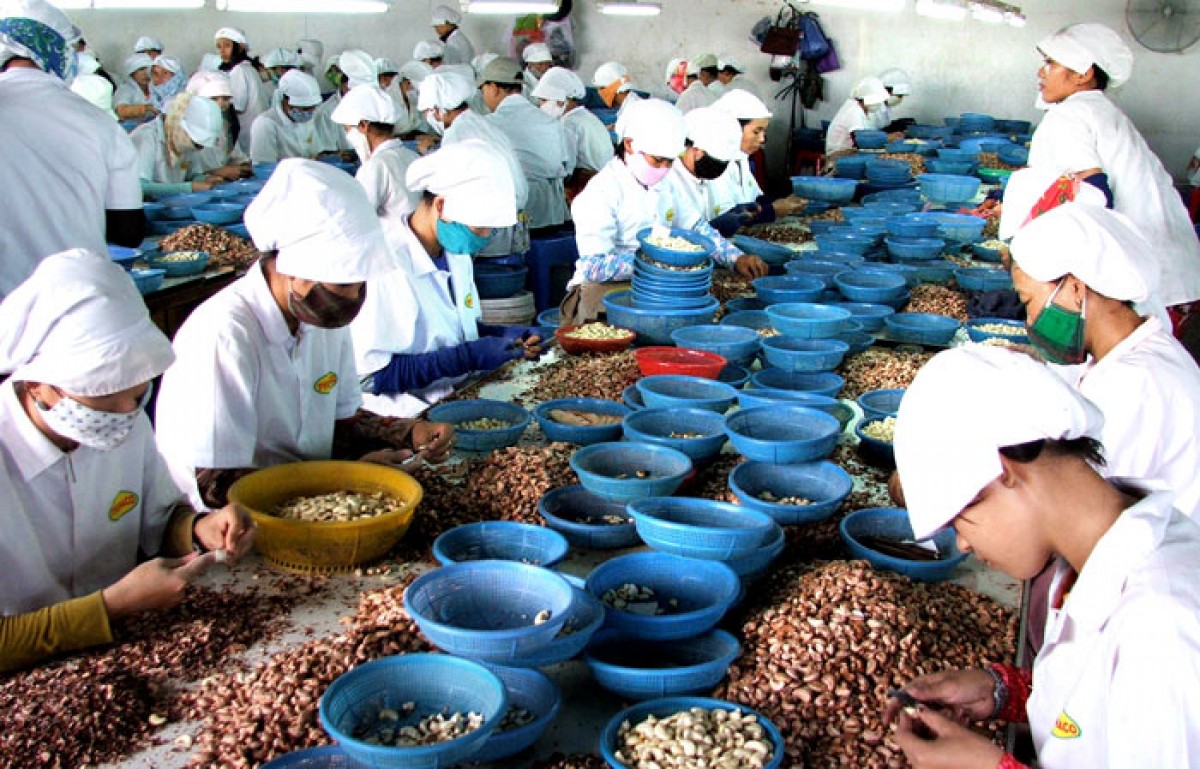 Thấp thỏm giao thương với Trung Quốc