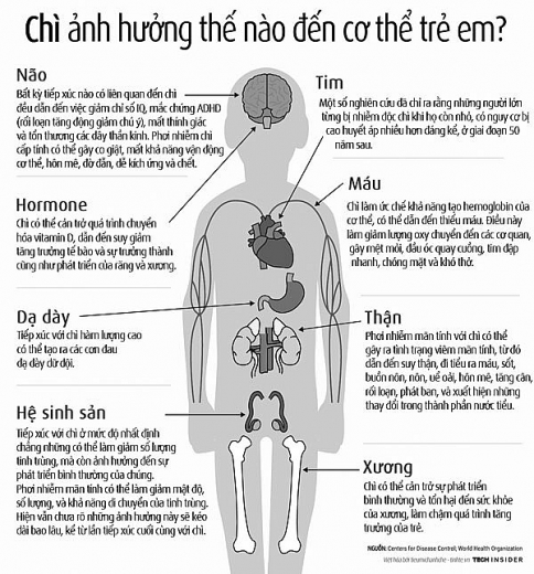 van nhiem doc chi vi thuoc cam