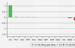 Cổ phiếu ngân hàng khiến VN-Index giảm gần 18 điểm