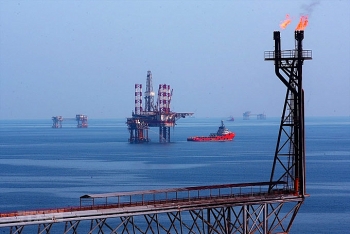 Kỳ XVIII: Bắt đầu những dự án mới