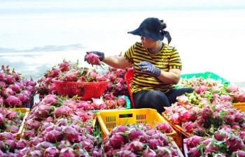 Bài 1: Xuất nhập khẩu - Dịch vụ đã thay đổi về chất