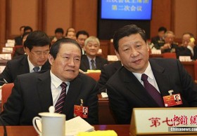 Những nhận định khác nhau