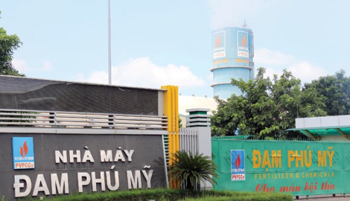 nha may dam phu my dat lanh chim dau