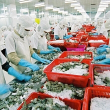 Làm gì để chinh phục thị trường Hàn Quốc?
