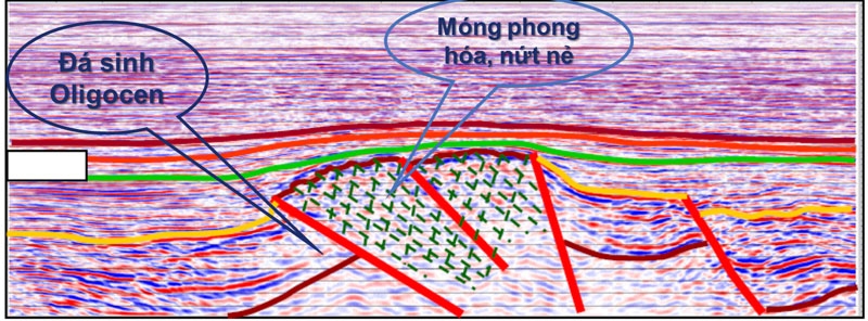 cau chuyen va nhung con so