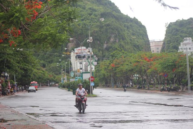 Đường phố ngập sâu, cây xanh gãy đổ ngổn ngang sau bão số 3 duong pho ngap sau cay xanh gay do ngon ngang sau bao so 3