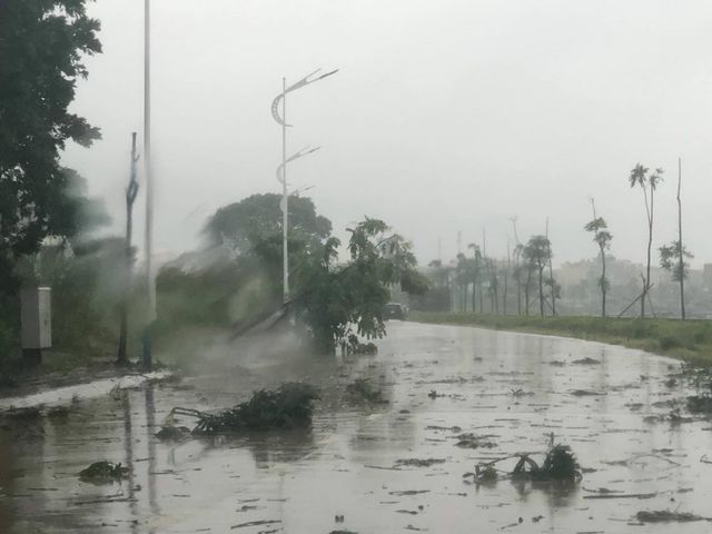 duong pho ngap sau cay xanh gay do ngon ngang sau bao so 3