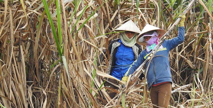 duong-nhap-lau-tran-ngap-mia-duong-noi-lam-nguy-6