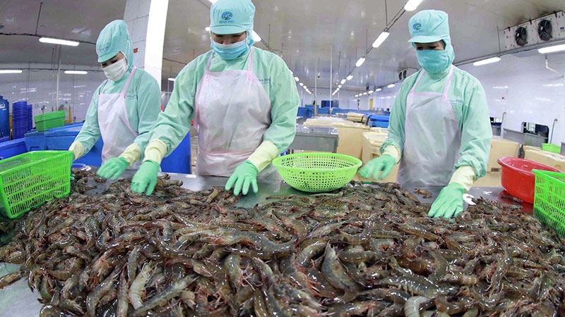 Xuất khẩu thủy sản giảm tốc?