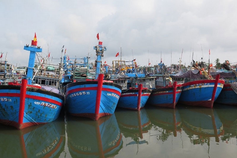 Tàu cá nằm bờ, ngư dân điêu đứng