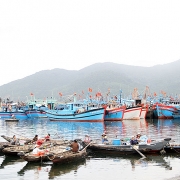 Tàu cá nằm bờ, ngư dân điêu đứng
