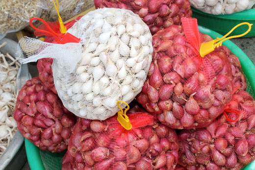 Sức sống trên đảo Cù lao Ré