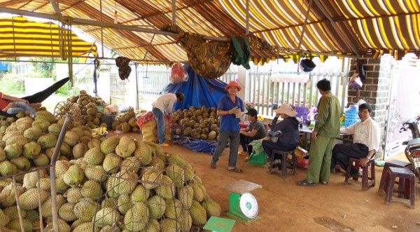 moi-ra-trai-cai-nghien-da-di-de-doa-cuong-doat-tien-cua-tai-xe-xe-container-1
