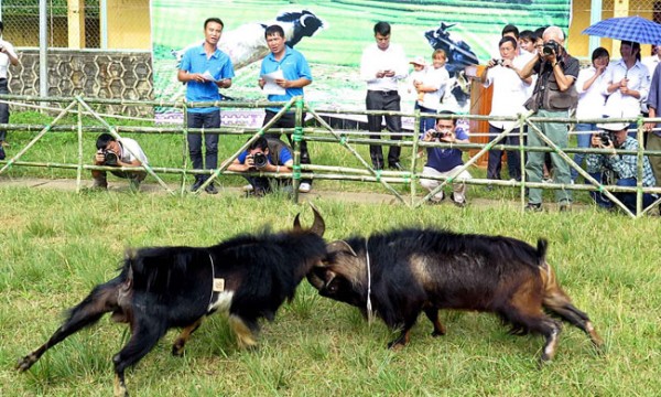 10 su kien noi bat ngay 159