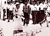 chuyen quai di ve dao dua tan theo bong dua